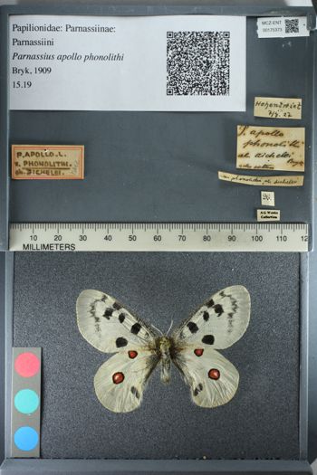Media type: image;   Entomology 175373